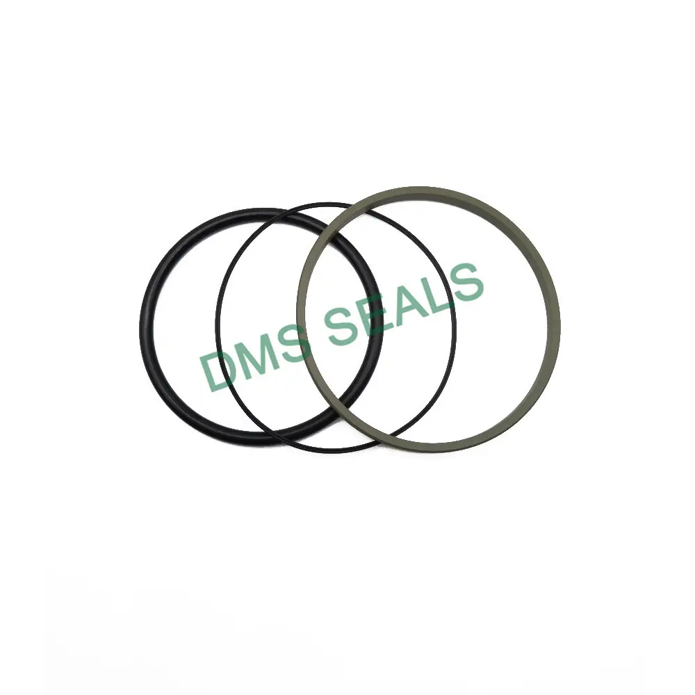 Hydraulic Piston Seals 3-1600mm - - DMS Seals 5