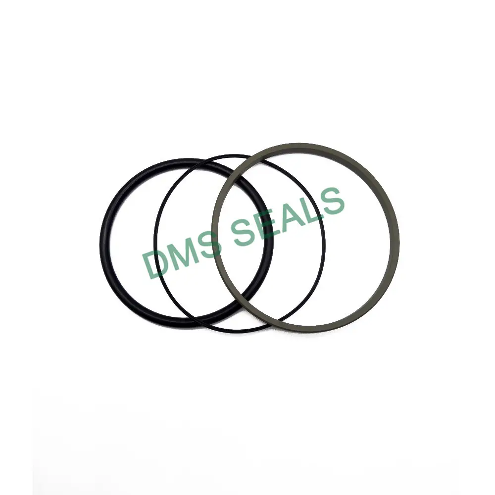 Hydraulic Piston Seals 3-1600mm - - DMS Seals 6