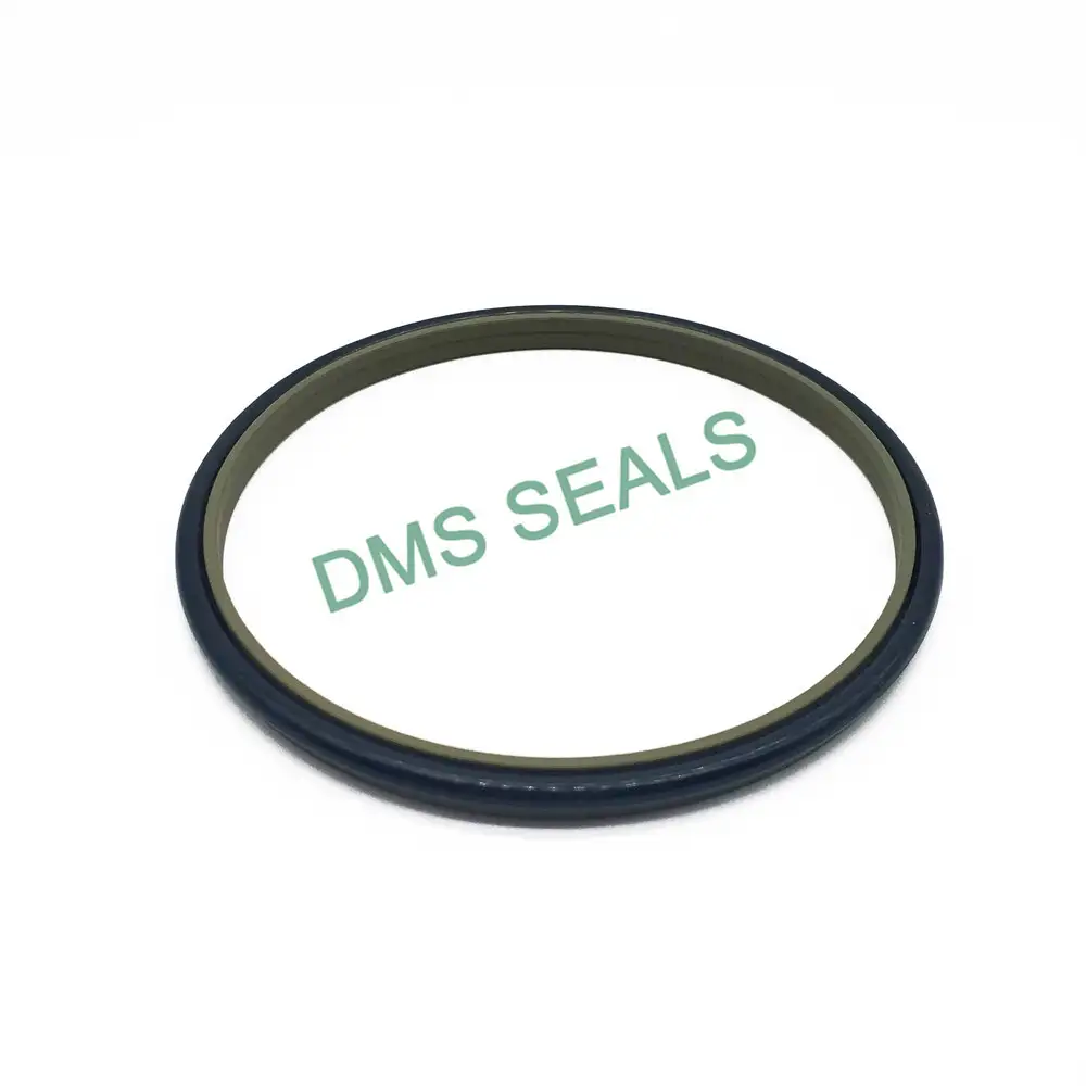 Gsz2 Thin Saddle Type PTFE Combination Dust Ring 1