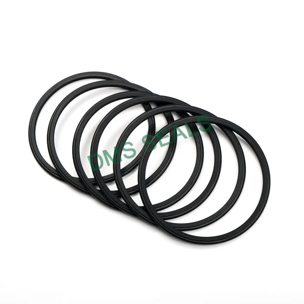 DMS Seals Rotating Shaft Seals Top Brand 2