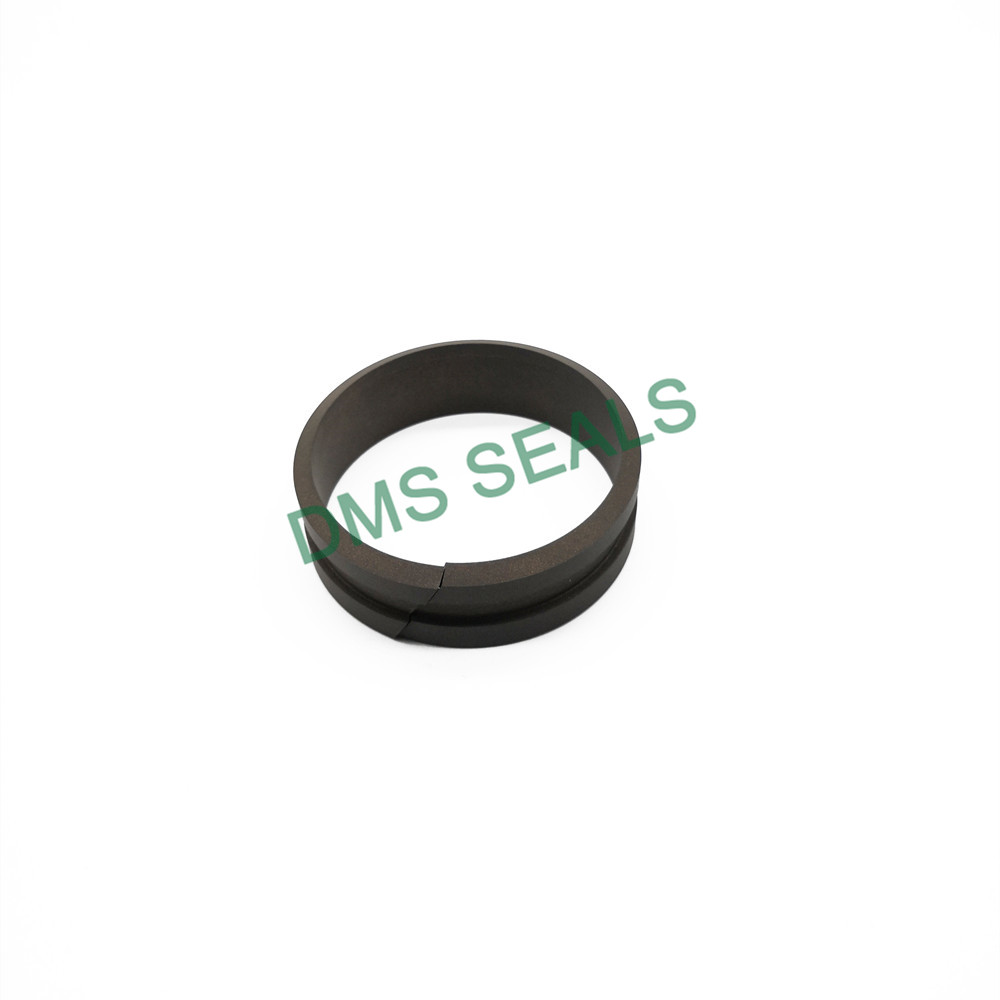 Guide Ring Dfai Seal Ring for Shaft Rod Guide Sleeve | Dms Seals