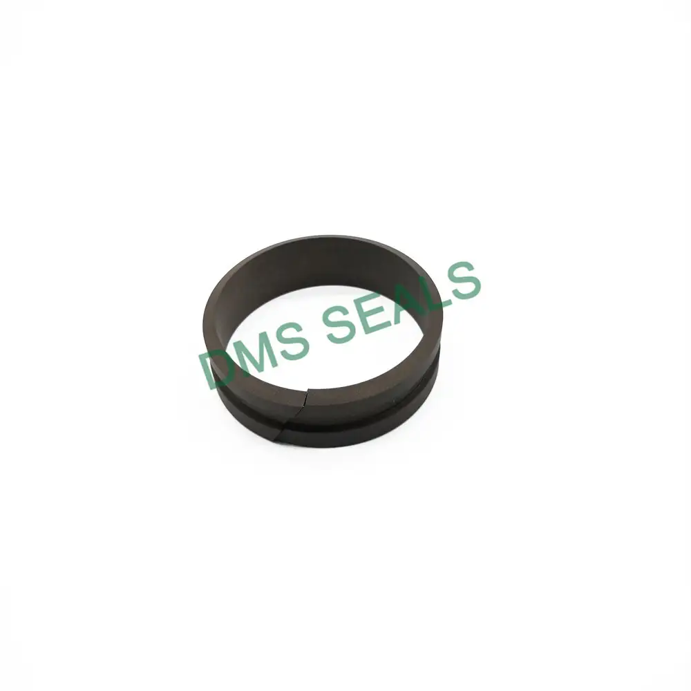 Guide Ring Dfai Seal Ring for Shaft Rod Guide Sleeve 1