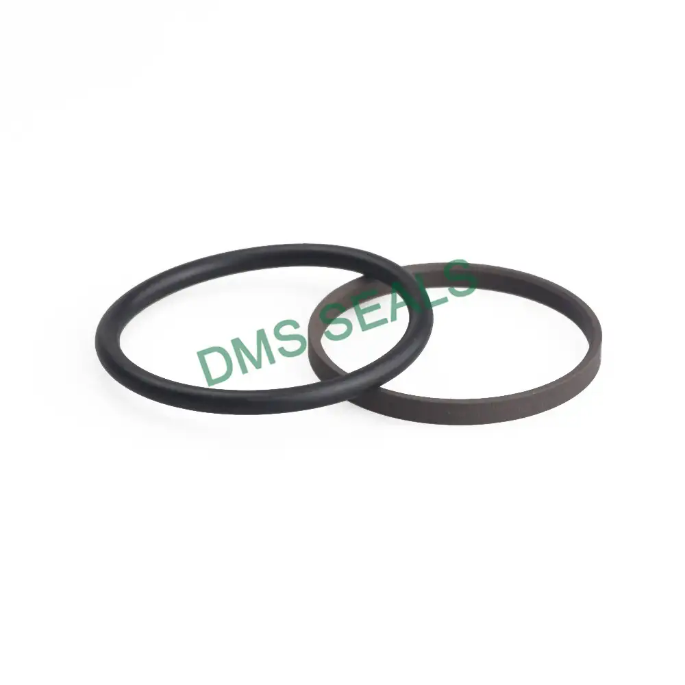 Customized PTFE Hydraulic Rod Glyd Ring Spno Type Piston Rod Seal From China 1