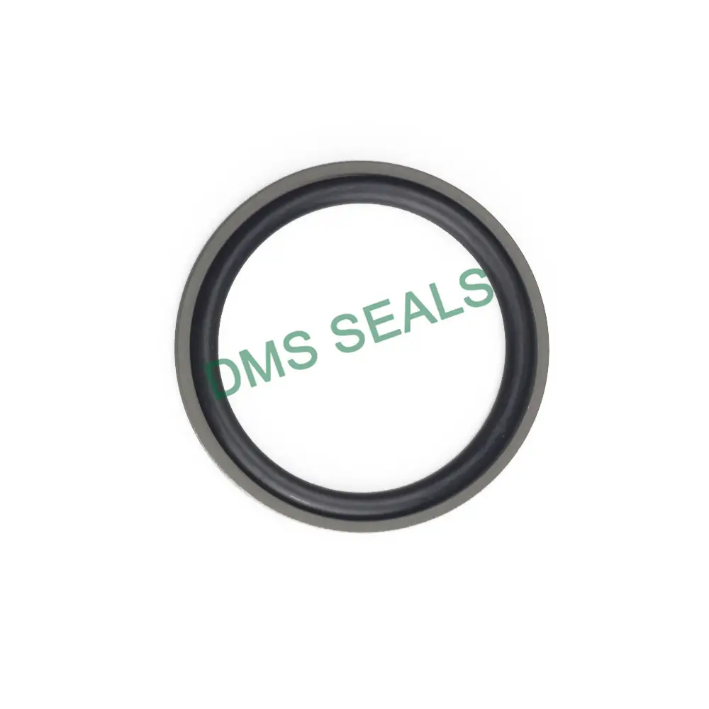 Hydraulic Piston Seals by DMS Seals 5