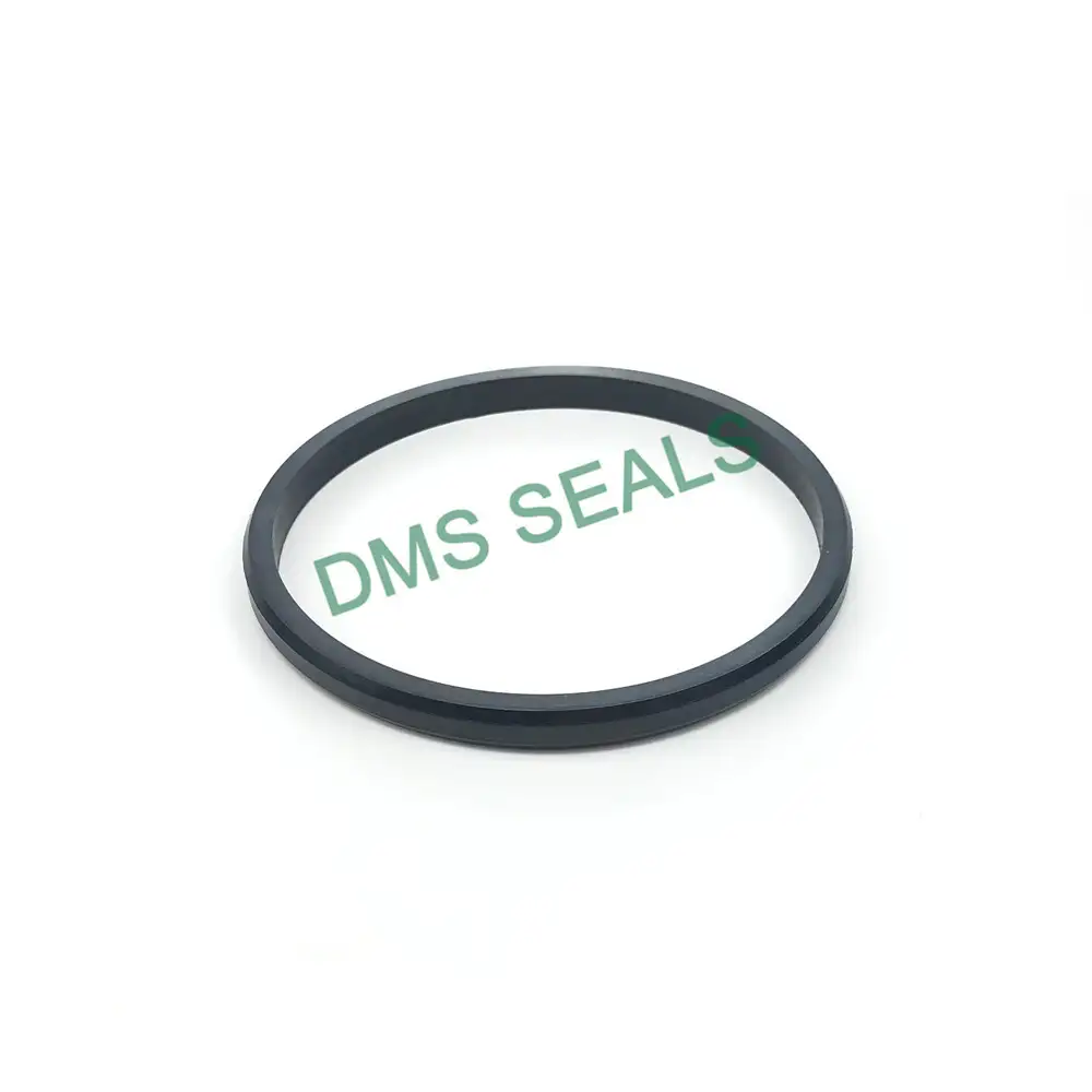 Wholesale D type sealing ring With Good Price-DMS Seals 1