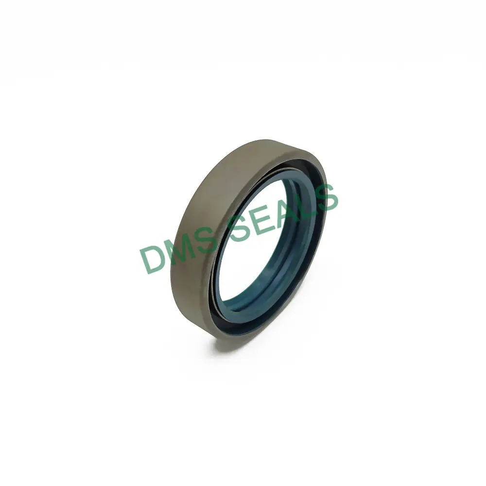 Oil Seal Manufacturer by DMS Seals 3