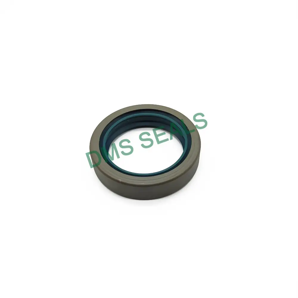 Oil Seal Manufacturer by DMS Seals 4
