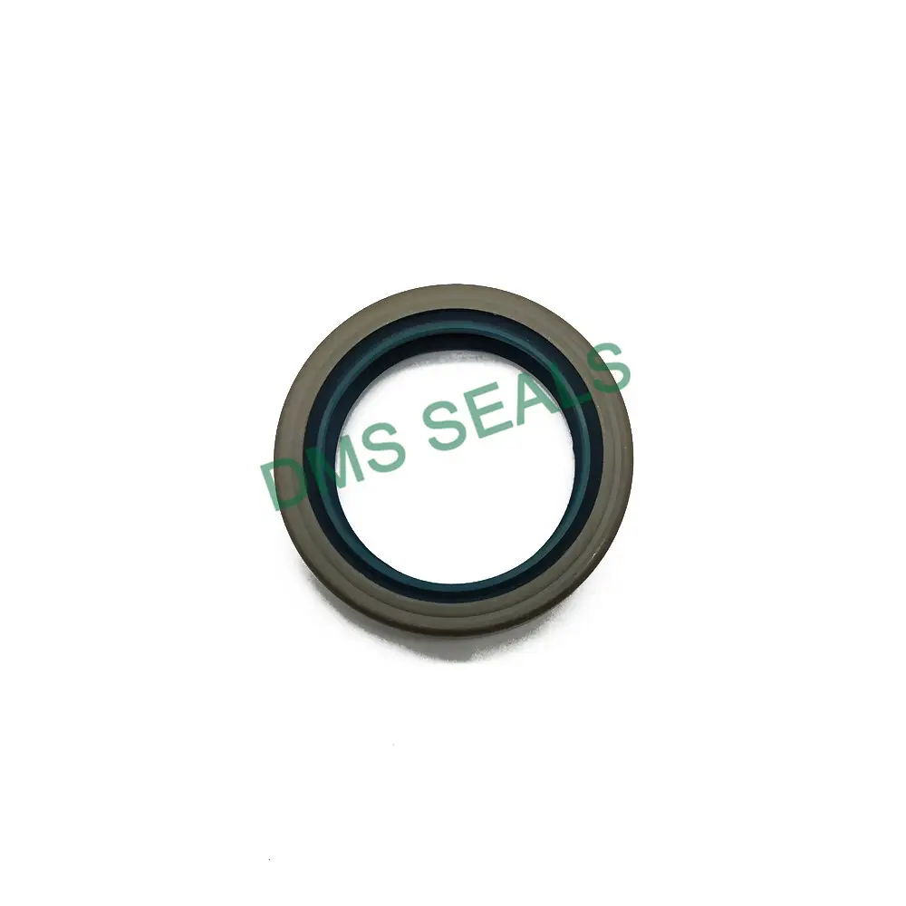 Oil Seal Manufacturer by DMS Seals 5