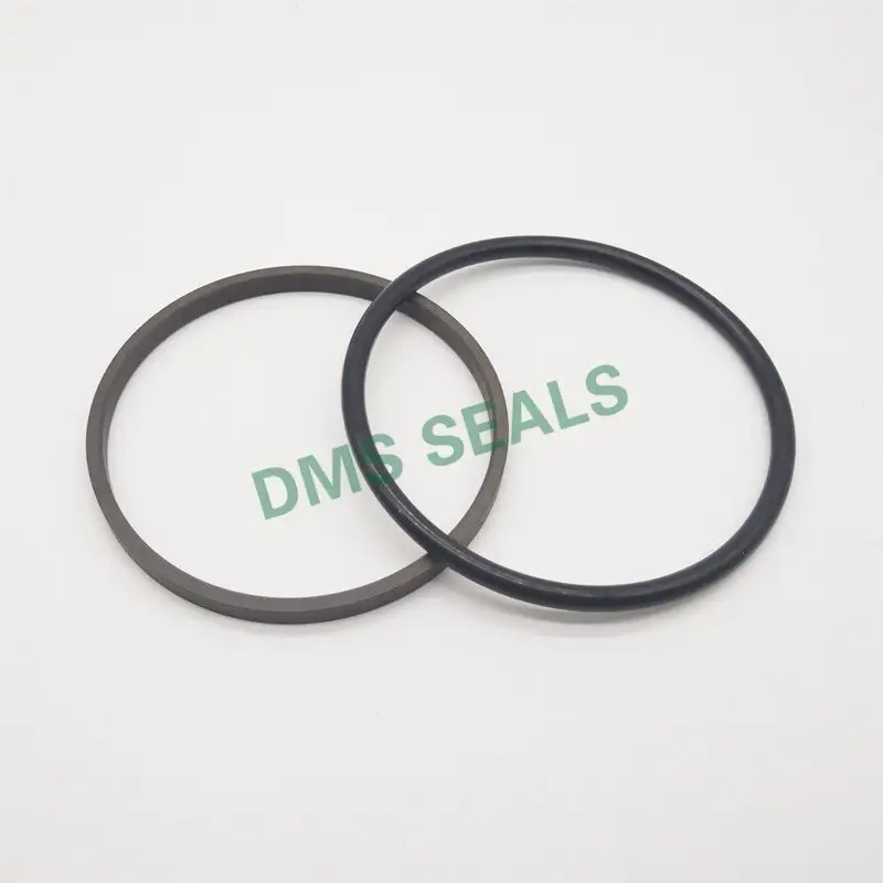 DMS Seal Manufacturer Array image112