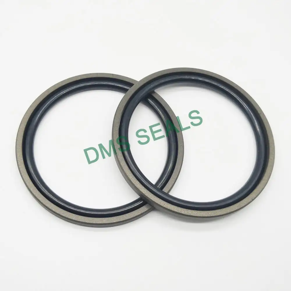 DMS Seals Array image94