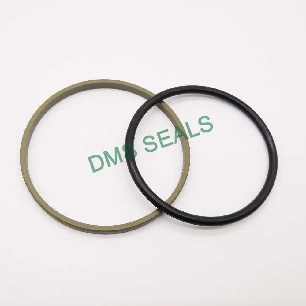 DMS Seals Array image65
