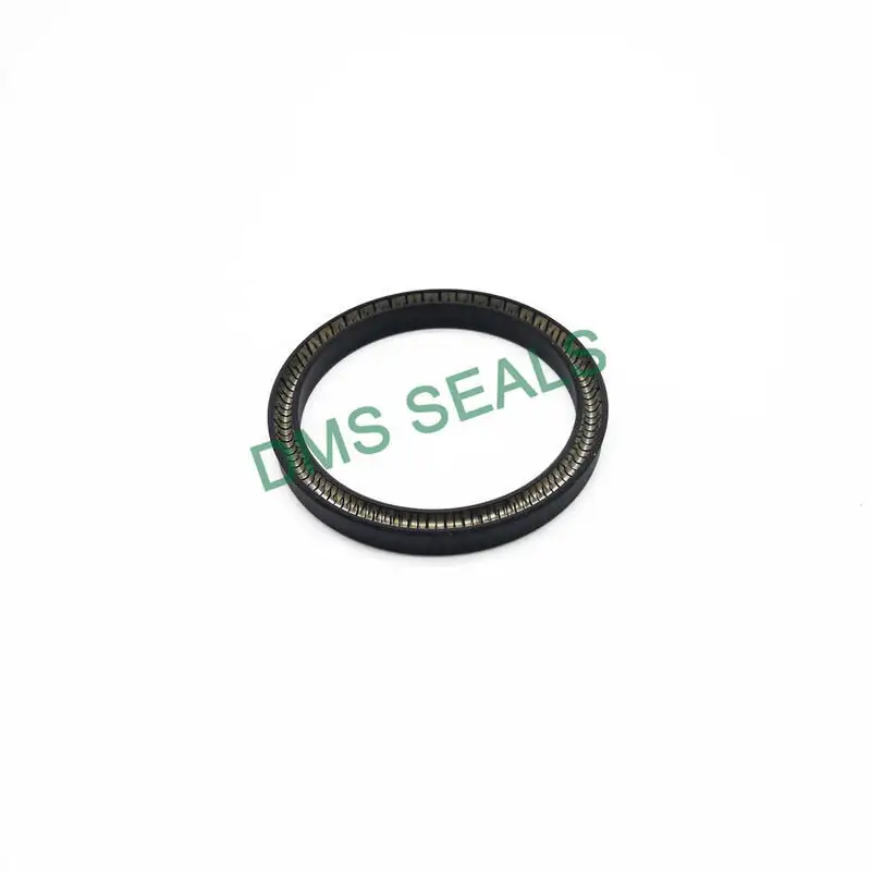 DMS Seals Array image62