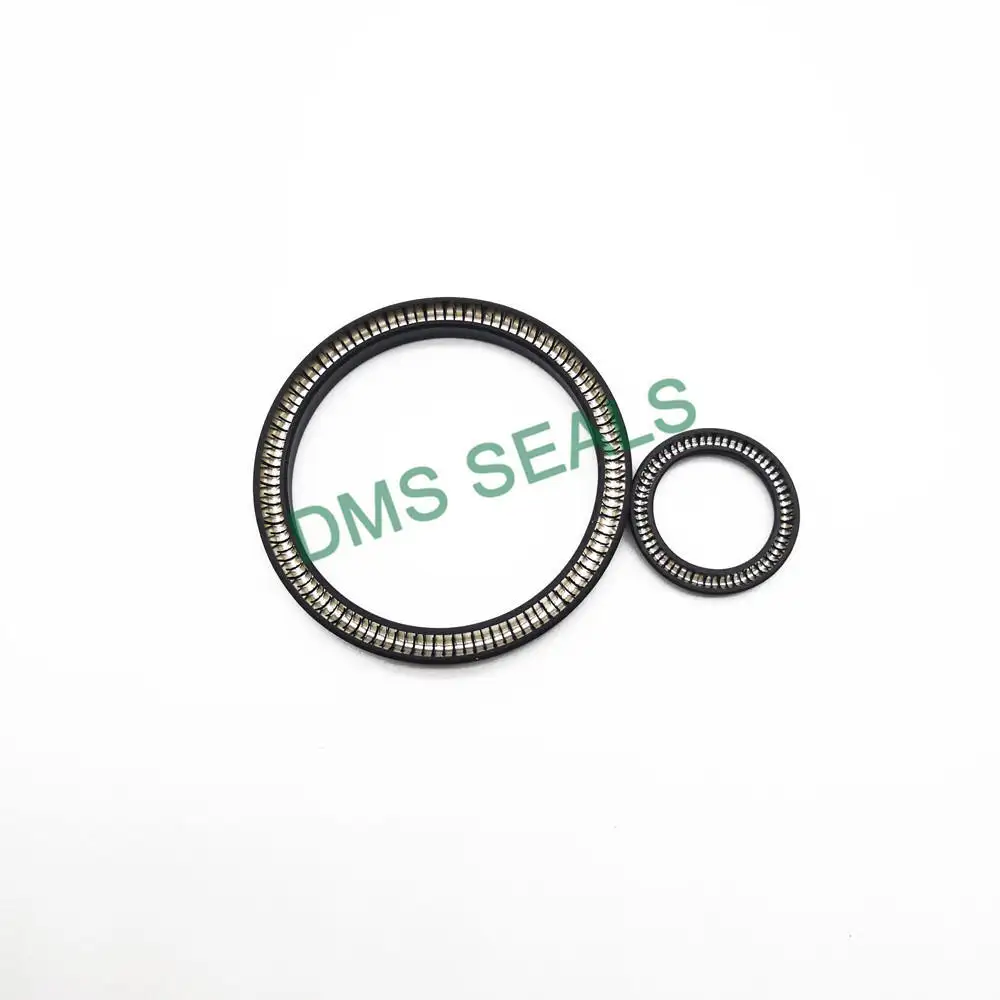 DMS Seals Array image95