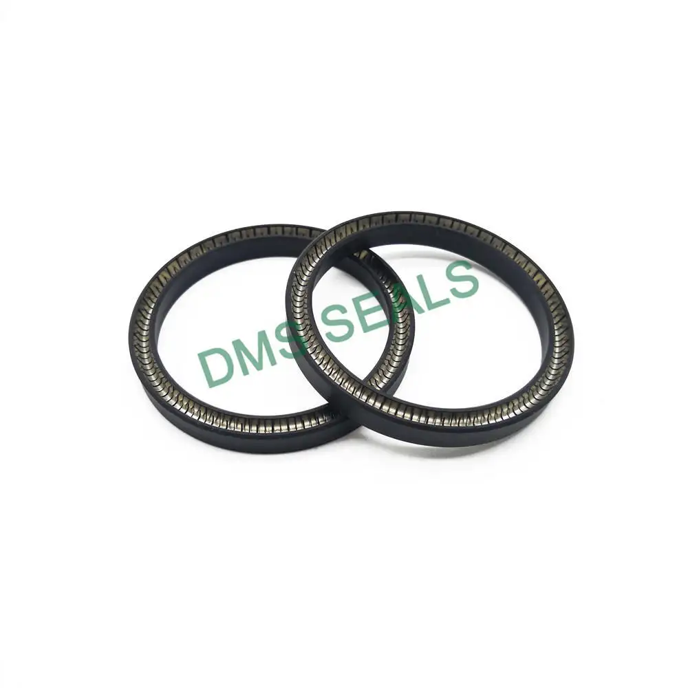 DMS Seals Array image39