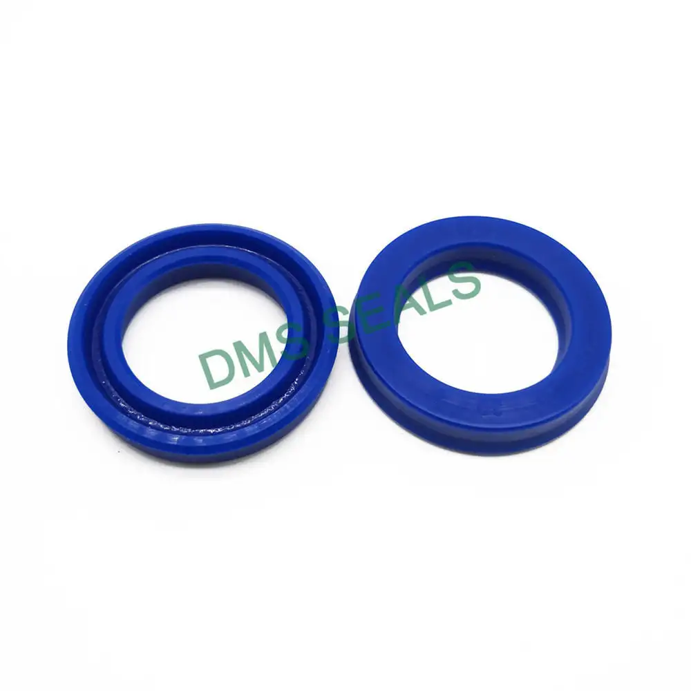 DMS Seals Array image121