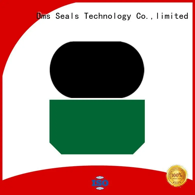 DMS Seal Manufacturer oring rod hydraulic hydraulic rod seals nbrfkm 1