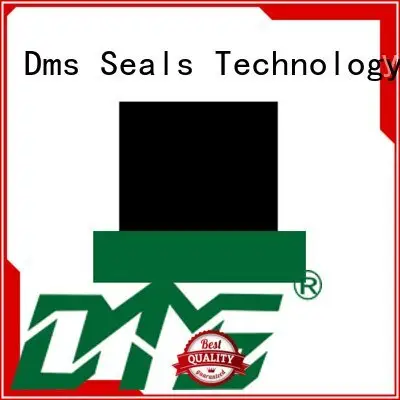 DMS Seal Manufacturer hydraulic oring seal hydraulic rod seals rod 1