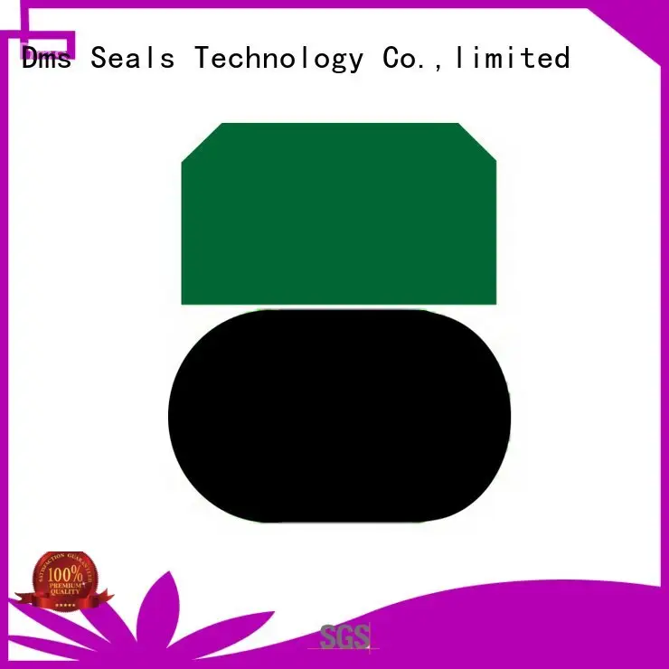 DMS Seal Manufacturer seal piston seals oring nbrfkm 1