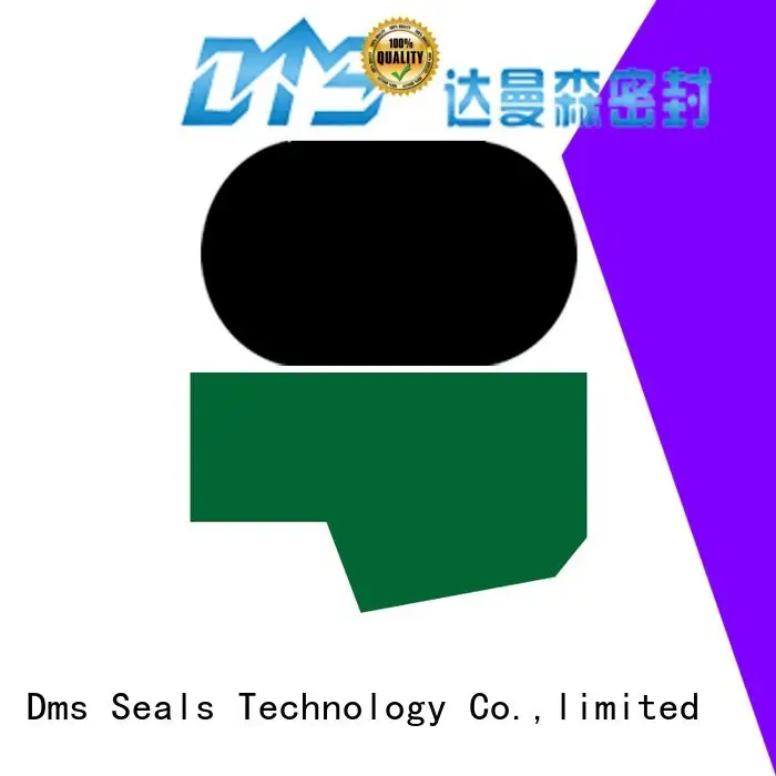 ptfe rod hydraulic DMS Seal Manufacturer hydraulic rod seals 1