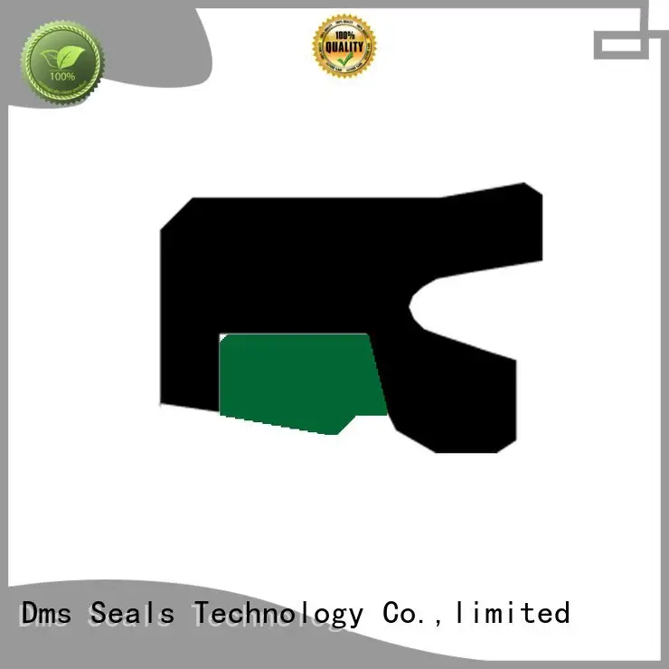 DMS Seal Manufacturer Brand oring hydraulic rod seals seal hydraulic 1