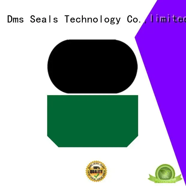 rod oring ptfe DMS Seal Manufacturer hydraulic rod seals 1