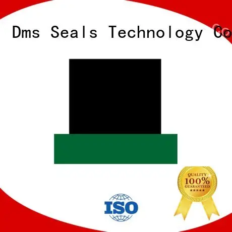 DMS Seal Manufacturer seal rod seals ptfe hydraulic 1