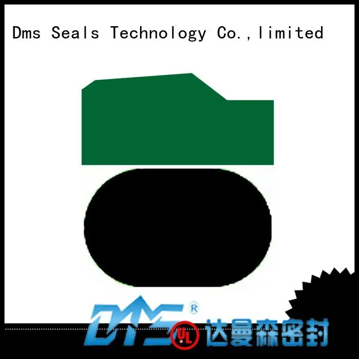 DMS Seal Manufacturer hydraulic oring piston seals piston ptfe 1