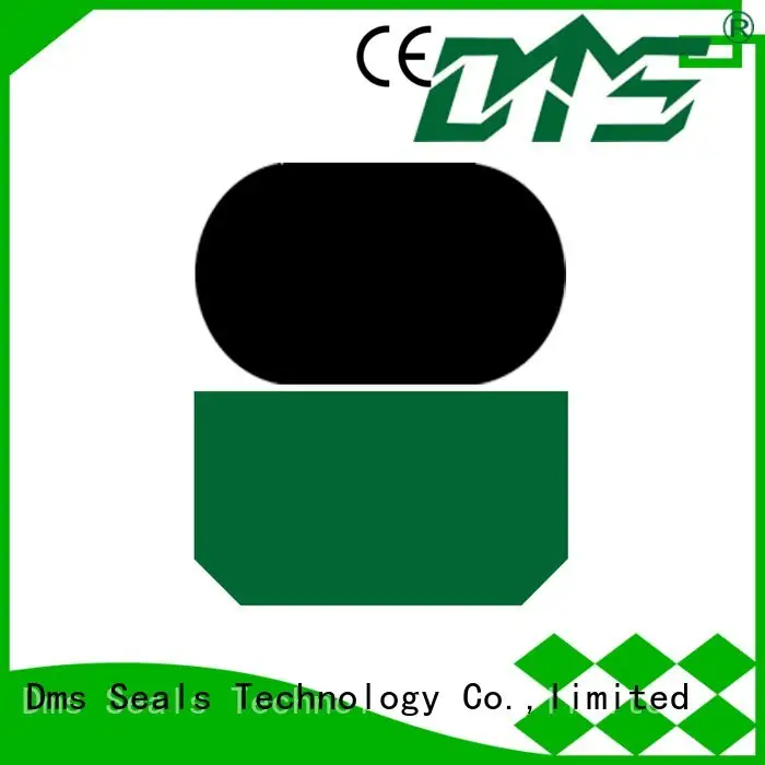 hydraulic rod seals hydraulic nbrfkm rod DMS Seal Manufacturer 1