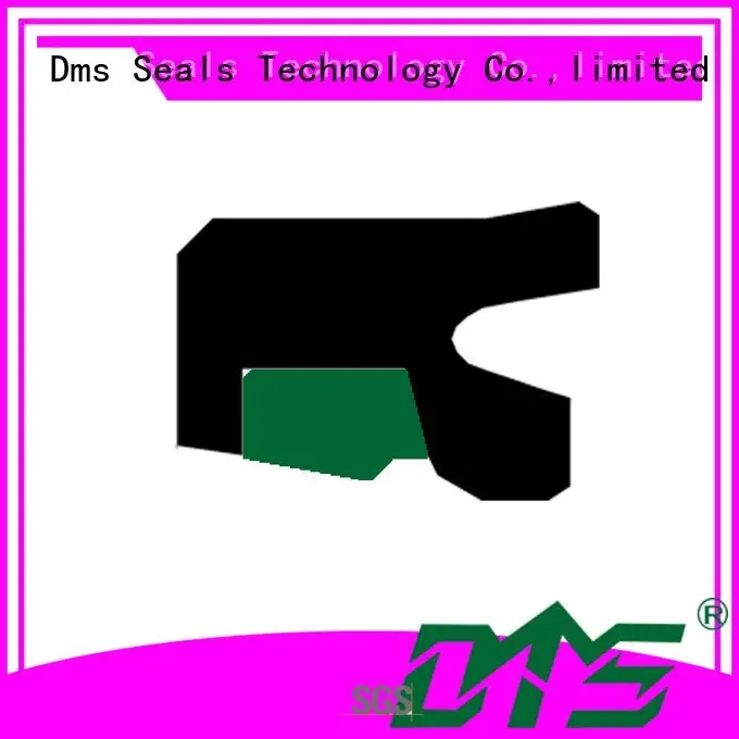 oring hydraulic OEM rod seals 1