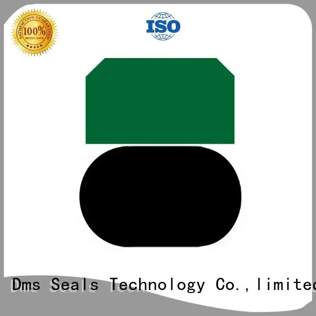 seal pneumatic piston seals hydraulic DMS Seal Manufacturer 1