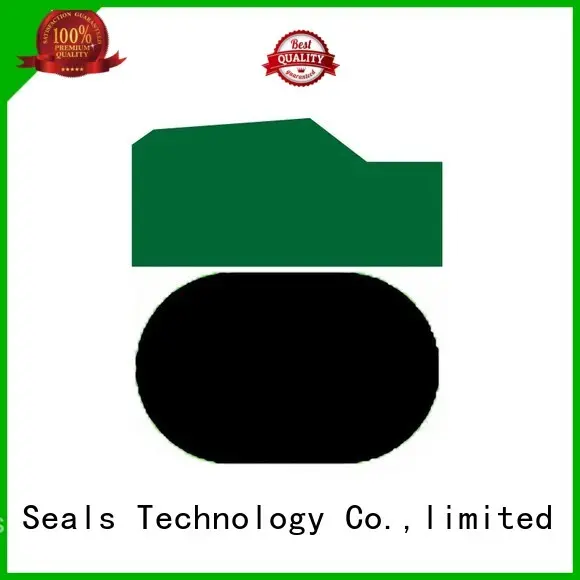 Quality DMS Seal Manufacturer Brand nbrfkm ptfe piston seals 1