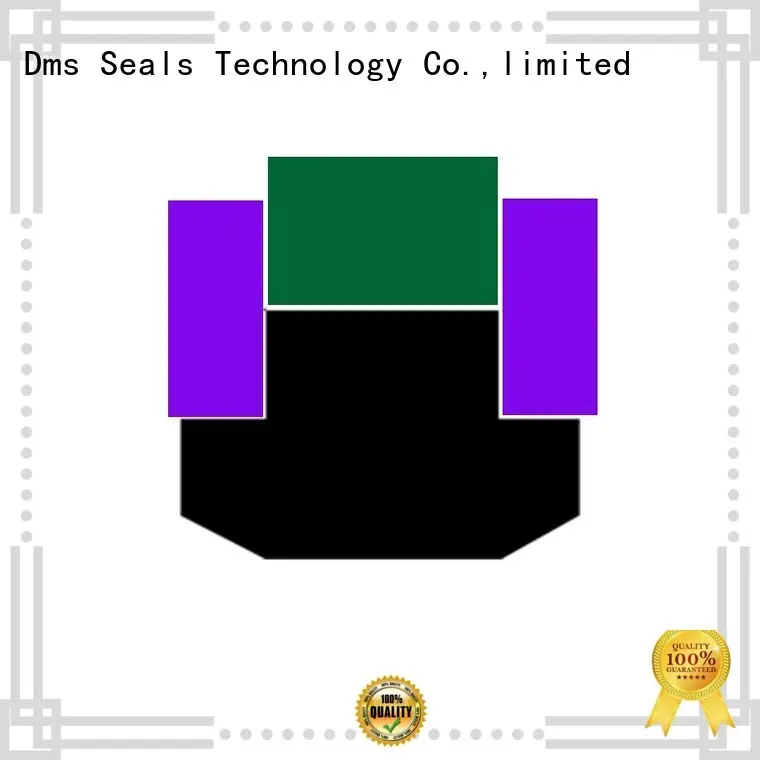 DMS Seal Manufacturer Brand seal ptfe piston seals manufacture 1