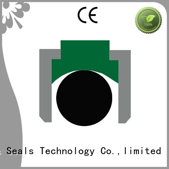 Hot nbrfkm piston seals oring seal DMS Seal Manufacturer Brand 1