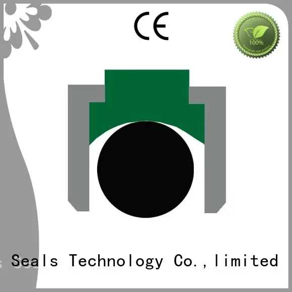 Hot nbrfkm piston seals oring seal DMS Seal Manufacturer Brand 1
