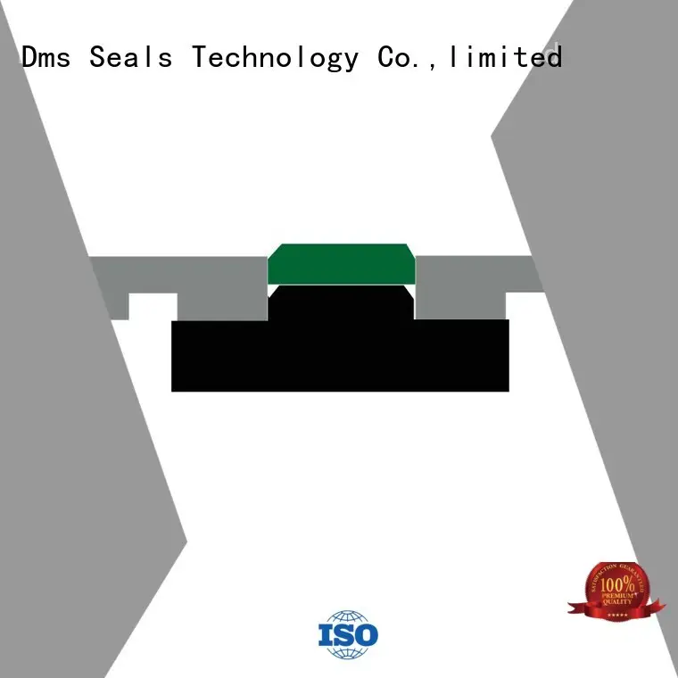 pneumatic piston seals piston hydraulic Bulk Buy oring DMS Seal Manufacturer 1