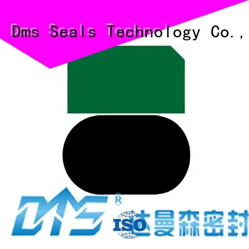 ptfe nbrfkm hydraulic piston piston seals DMS Seal Manufacturer 1