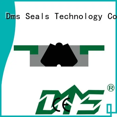 Hot pneumatic piston seals ptfe DMS Seal Manufacturer Brand 1