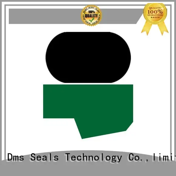 Custom oring hydraulic rod seals DMS Seal Manufacturer seal 1