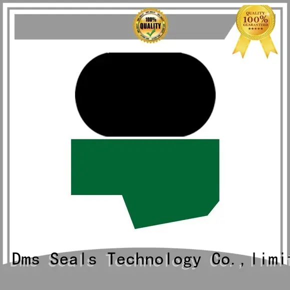 Custom oring hydraulic rod seals DMS Seal Manufacturer seal 1