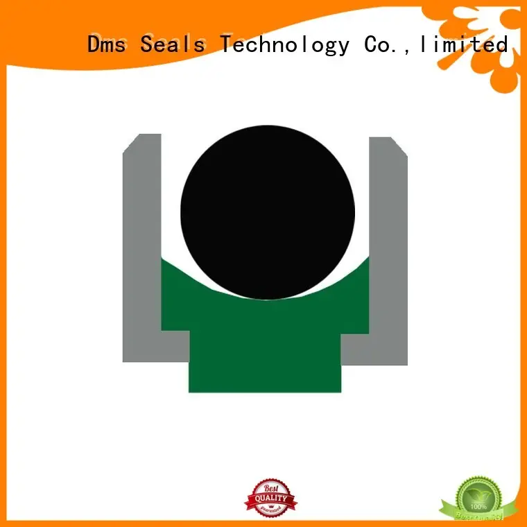nbrfkm hydraulic oring ptfe hydraulic rod seals DMS Seal Manufacturer Brand 1