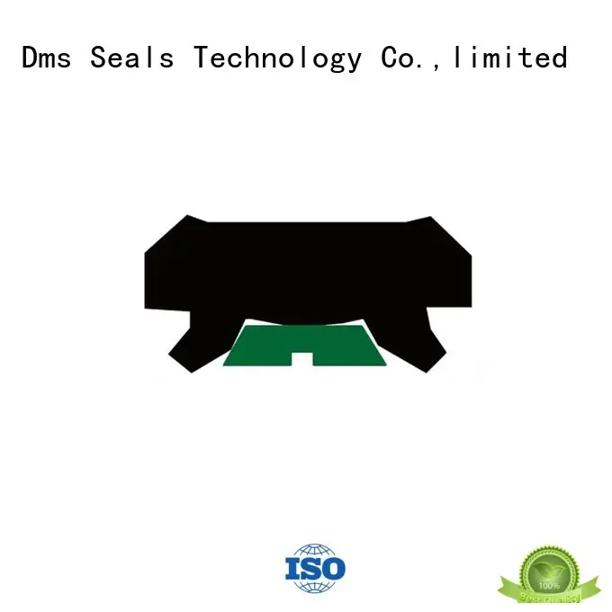ptfe oring hydraulic rod seals DMS Seal Manufacturer Brand 1