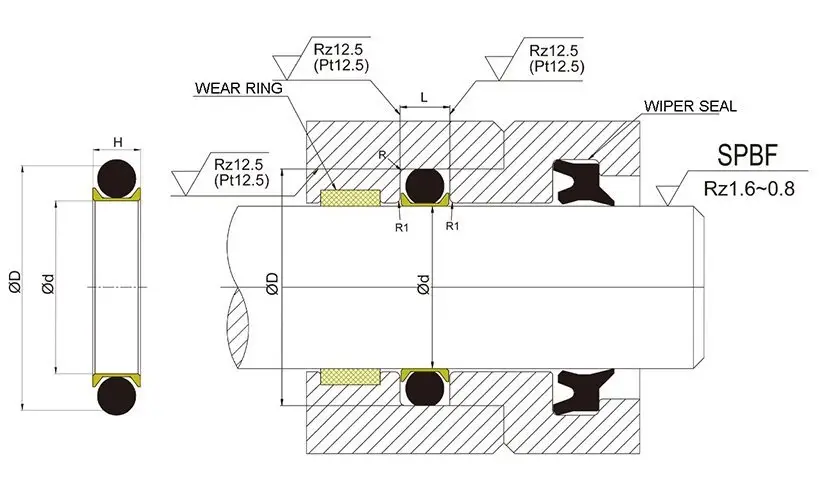 Custom hydraulic seal rod seals DMS Seal Manufacturer nbrfkm 2