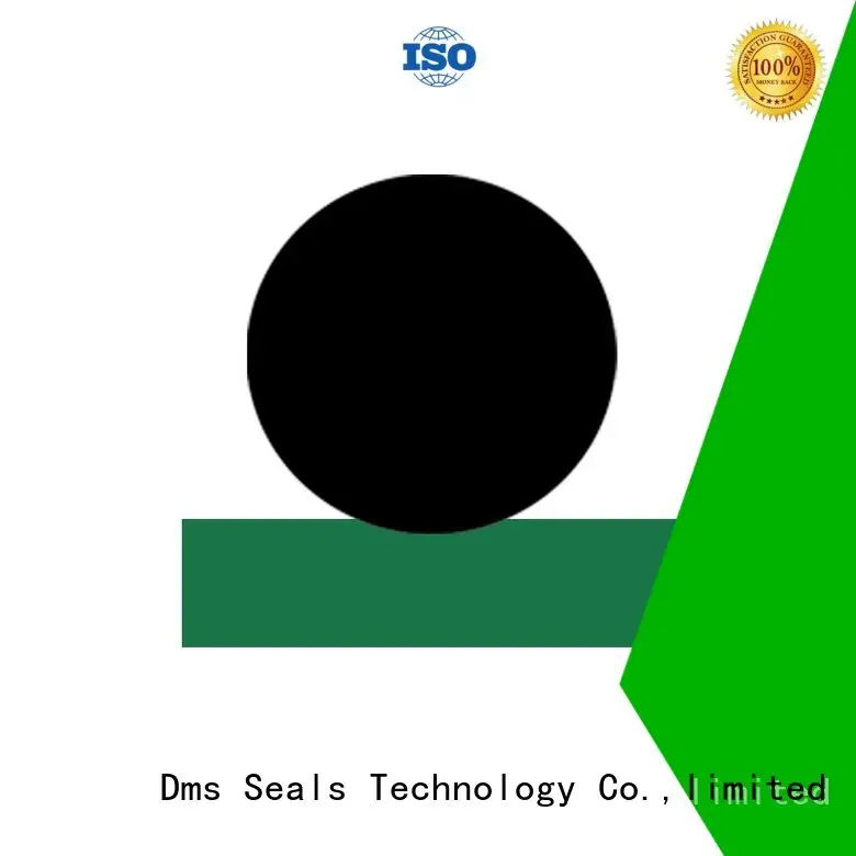 seal hydraulic nbrfkm ptfe DMS Seal Manufacturer Brand rod seals supplier 1