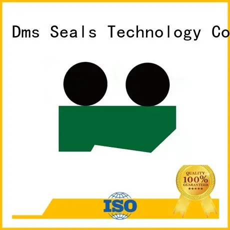 Hot scraper hydraulic wiper seals ptfe DMS Seal Manufacturer Brand 1