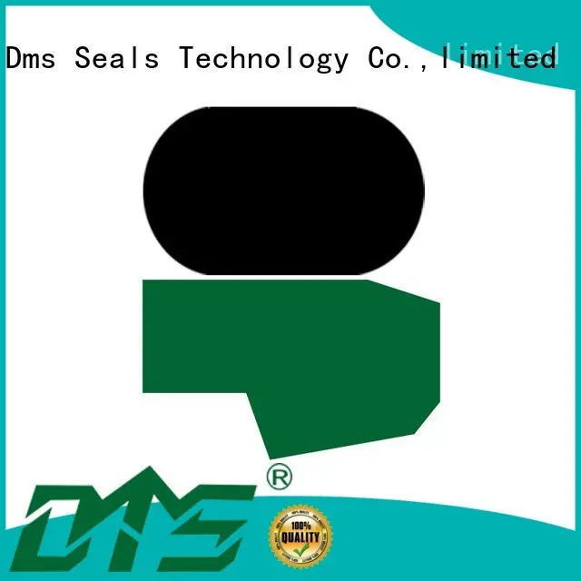 nbrfkm ptfe hydraulic rod seals oring DMS Seal Manufacturer Brand 1