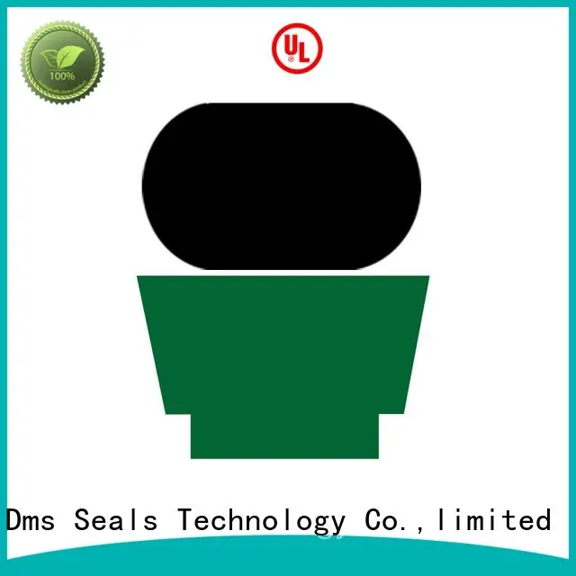 ptfe nbrfkm rod seals DMS Seal Manufacturer Brand 1