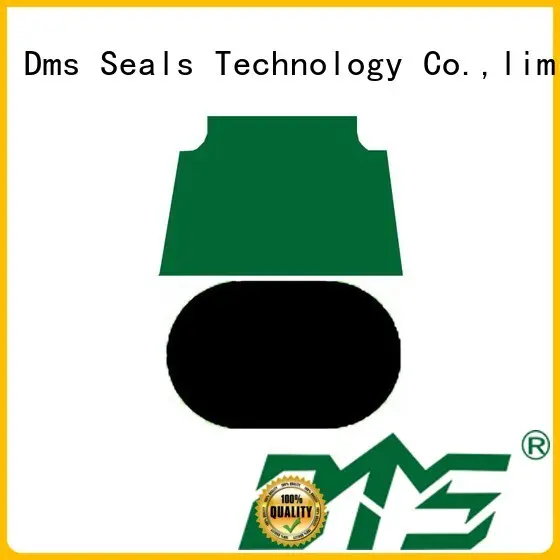 Hot oring pneumatic piston seals ptfe DMS Seal Manufacturer Brand 1