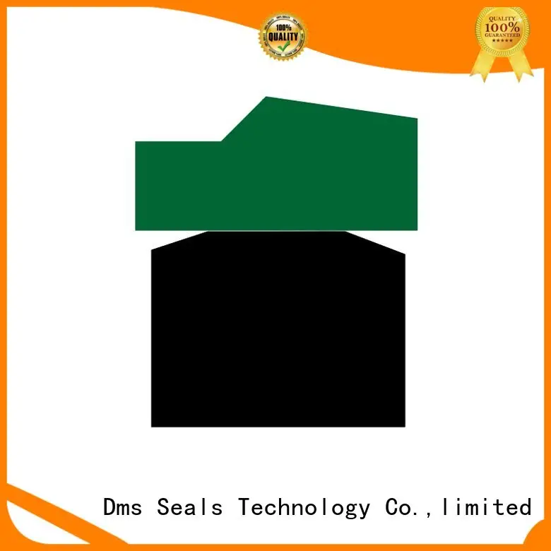DMS Seal Manufacturer Brand seal nbrfkm ptfe pneumatic piston seals oring 1