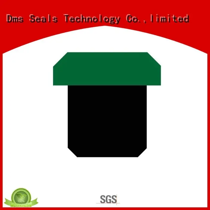 DMS Seal Manufacturer Brand ptfe hydraulic oring custom pneumatic piston seals 1