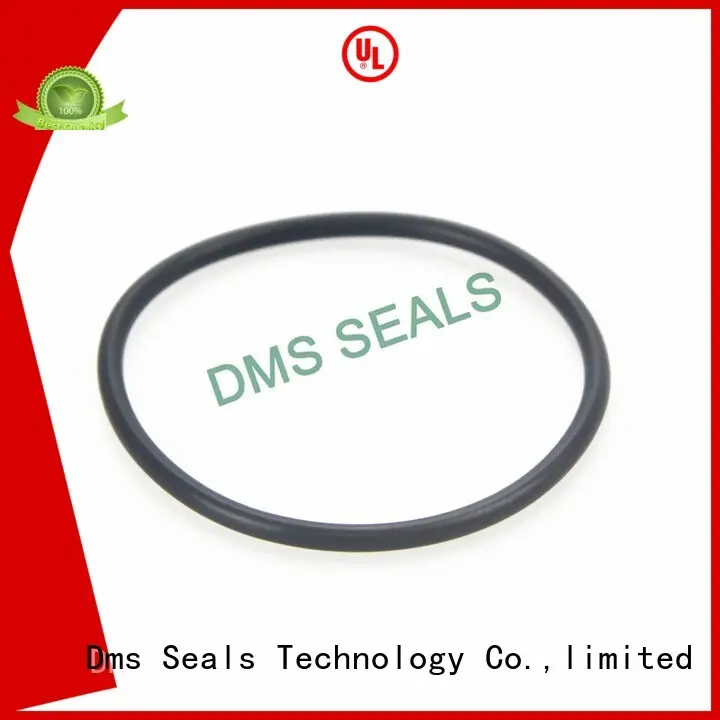 oring spring oil seal ring hydraulic DMS Seal Manufacturer company 1